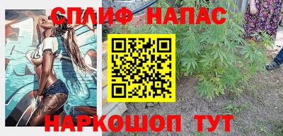 гидра Тверь