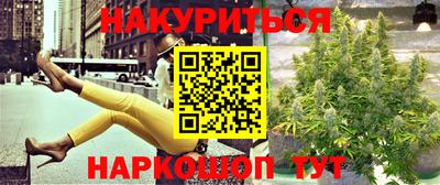 гидра Тверь