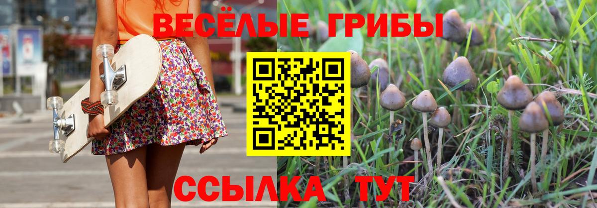Галлюциногенные грибы Psilocybine cubensis  магазин    Вход с VPN  Мелеуз  Галлюциногенные грибы мицелий 